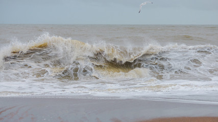 Wave on the beach, storm, Brittany, in winter 