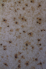 Background of a rusty metal