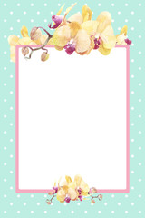 layout with a colored background and yellow orchid flowers