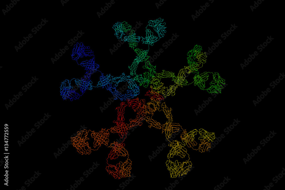 Poster immunoglobulin m, a basic antibody that is produced by b cells.