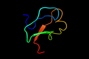 The Insulin-like growth factor-binding protein also known as IGF