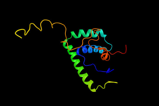 Nukleosom bilder – Bläddra bland 181 stockfoton, vektorer och videor ...