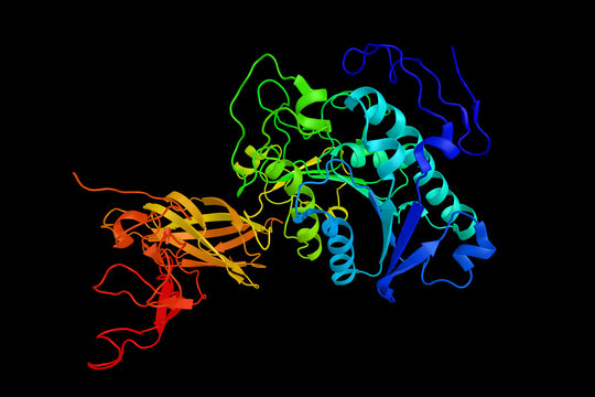 Pancreatic lipase, also known as pancreatic triacylglycerol lipa