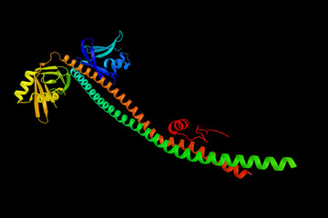 LIG4, an ATP-dependent DNA ligase that joins double-strand break