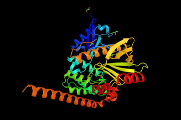 Merlin, a cytoskeletal protein which is a tumor suppressor prote