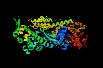 Obraz na płótnie Canvas Myosin, a hexameric ATPase cellular motor protein. Expressed in