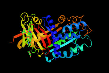 Plasminogen activator inhibitor-1, a serine protease inhibitor t - obrazy, fototapety, plakaty
