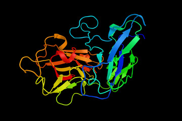 Reelin, a large secreted extracellular matrix glycoprotein that