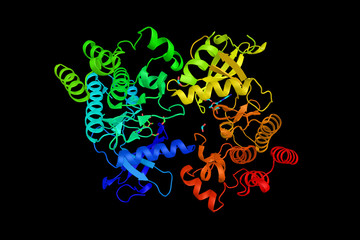 Obraz na płótnie Canvas The RET proto-oncogene, which encodes a receptor tyrosine kinase