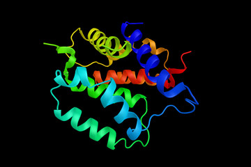 S100 protein, normally present in cells derived from the neural