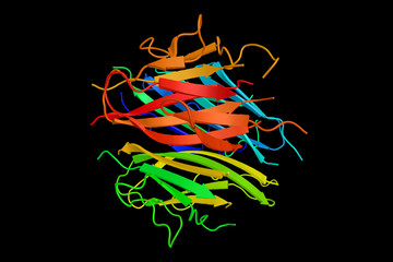 Fototapeta na wymiar Adiponectin, a protein involved in regulating glucose levels as