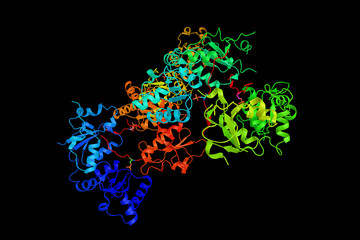 BRCA1 (3d structure), a human tumor suppressor gene, found in al