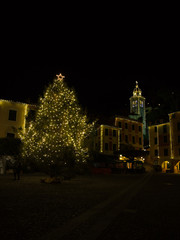 Fototapeta na wymiar The town of Portofino.