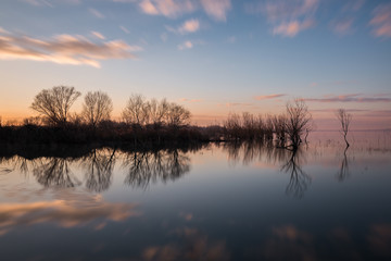 Perfectly symmetric reflections of trees and clouds on a lake at sunset