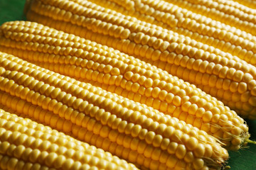 Fresh sweet corn, closeup