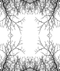 Silhouette of Branches on White Background. Tree Branches Isolated.