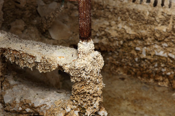 Fototapeta premium Ladder limestone