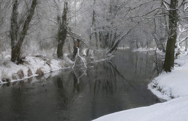 Zimowa rzeka 2 © Tomek Kiecana