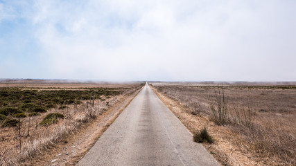 Misty Straight Road in Portuguese Plains