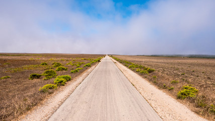 Lonely Road through the Misty Portuguese Landscape
