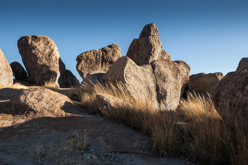 Fototapeta na wymiar City of Rocks State Park, NM, USA