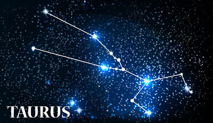 Symbol Taurus Zodiac Sign. Vector Illustration.