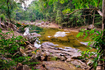 Small mountain stream in the shade of the tropical forest with snag tree in the foreground, Mu Koh Chang National Park, Chang island, Thailand. Natural background.