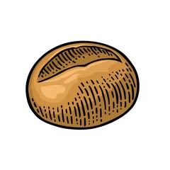 Bun. Vector color hand drawn vintage engraving
