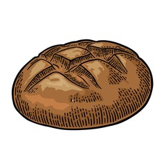 Loaf of bread. Vector color hand drawn vintage engraving