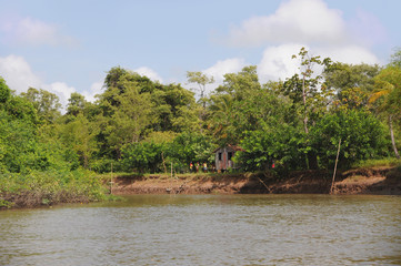 Brasilien Amazonas Ufer