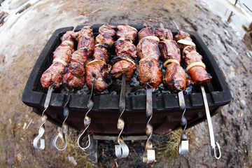 Fresh marinated meat with onion on the grill