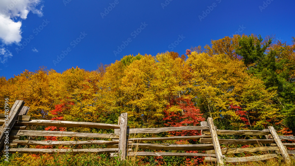 Wall mural fall off the blue ridge parkway