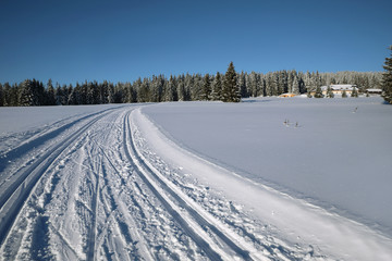 Fototapeta na wymiar Winter landscape and trails for skiers