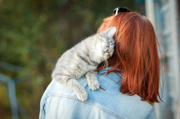 Naklejka premium Grey tabby cat sitting on a shoulder at the girl