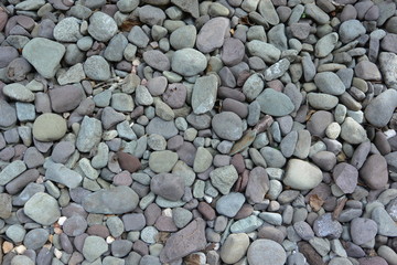Stone Pebbles 01