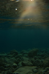 Underwater view of seabed.