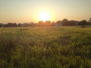 Sunset Behind Meadow