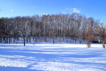 Sapporo park of snow