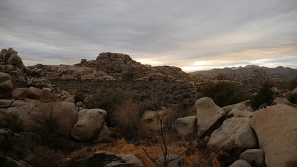 Joshua Tree Sunset