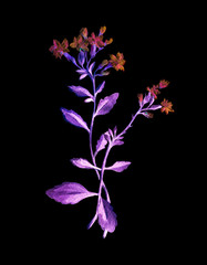 Watercolor flower bouquet on black