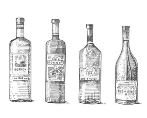 Wine bottle hand drawn engraved old looking vintage illustration
