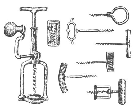 Big set of corkscrew in vintage old engraving style, hand drawn in scratchboard style