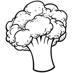 Cauliflower Illustration