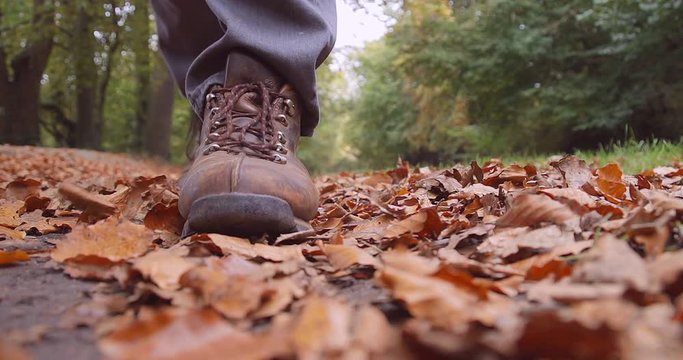 Hiker walking in the Autumn Fall kicking brown crunchy leaves
