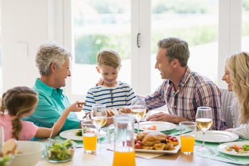 Multi- generation family interacting
