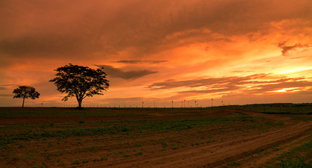 Fototapeta na wymiar Sunset on the farm