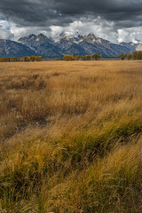 Landscape of Grand Teton National Park