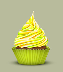 cupcake  with multi-color cream