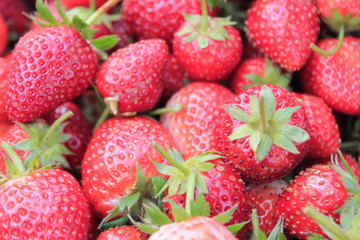 fruit strawberry red