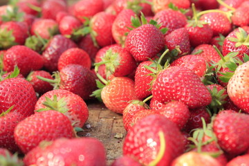 fruit strawberry red